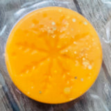 North Pole Festive Box (12 scents)