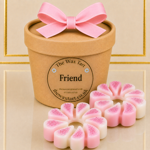 Friend - Fairy Laundry