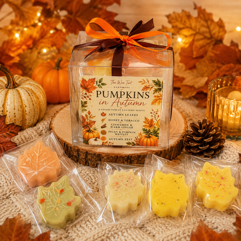 Pumpkins in Autumn Cube